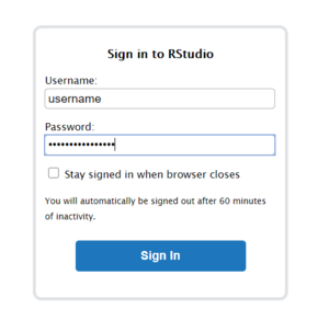 RStudio Server Login